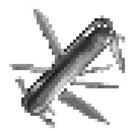Versatile Red Swiss Army Knife by brgfx