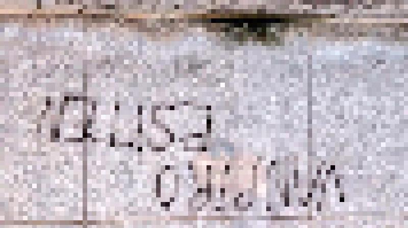 Pintada vanpiro esiten